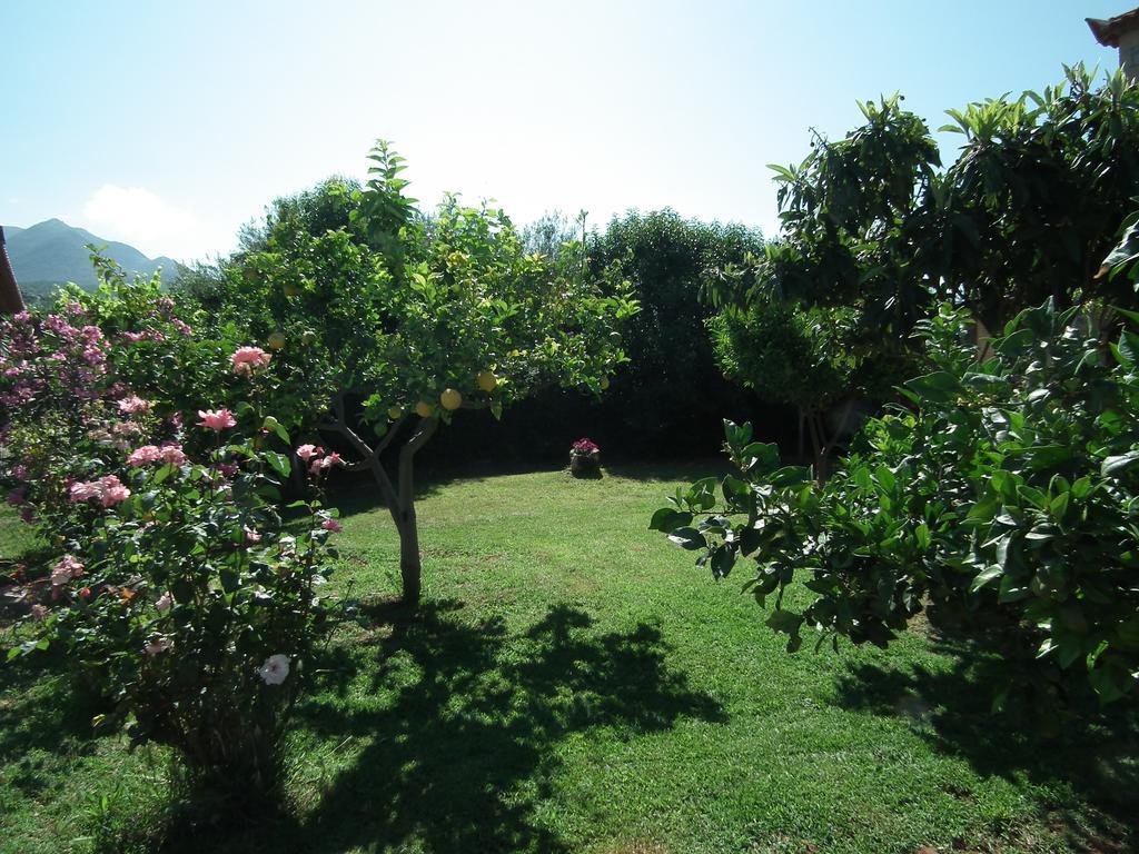 Stoupa's Paradise Extérieur photo