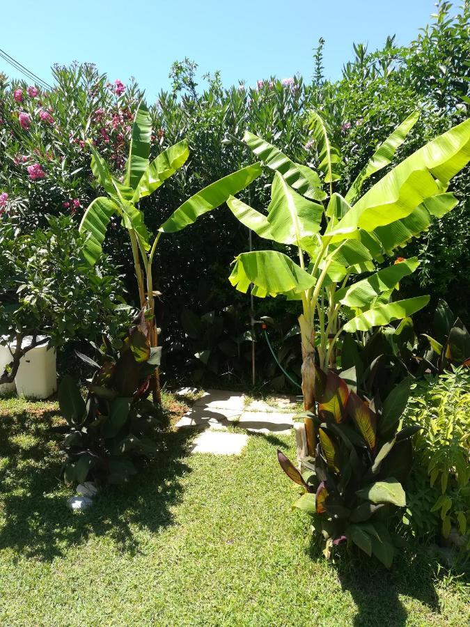 Stoupa's Paradise Extérieur photo