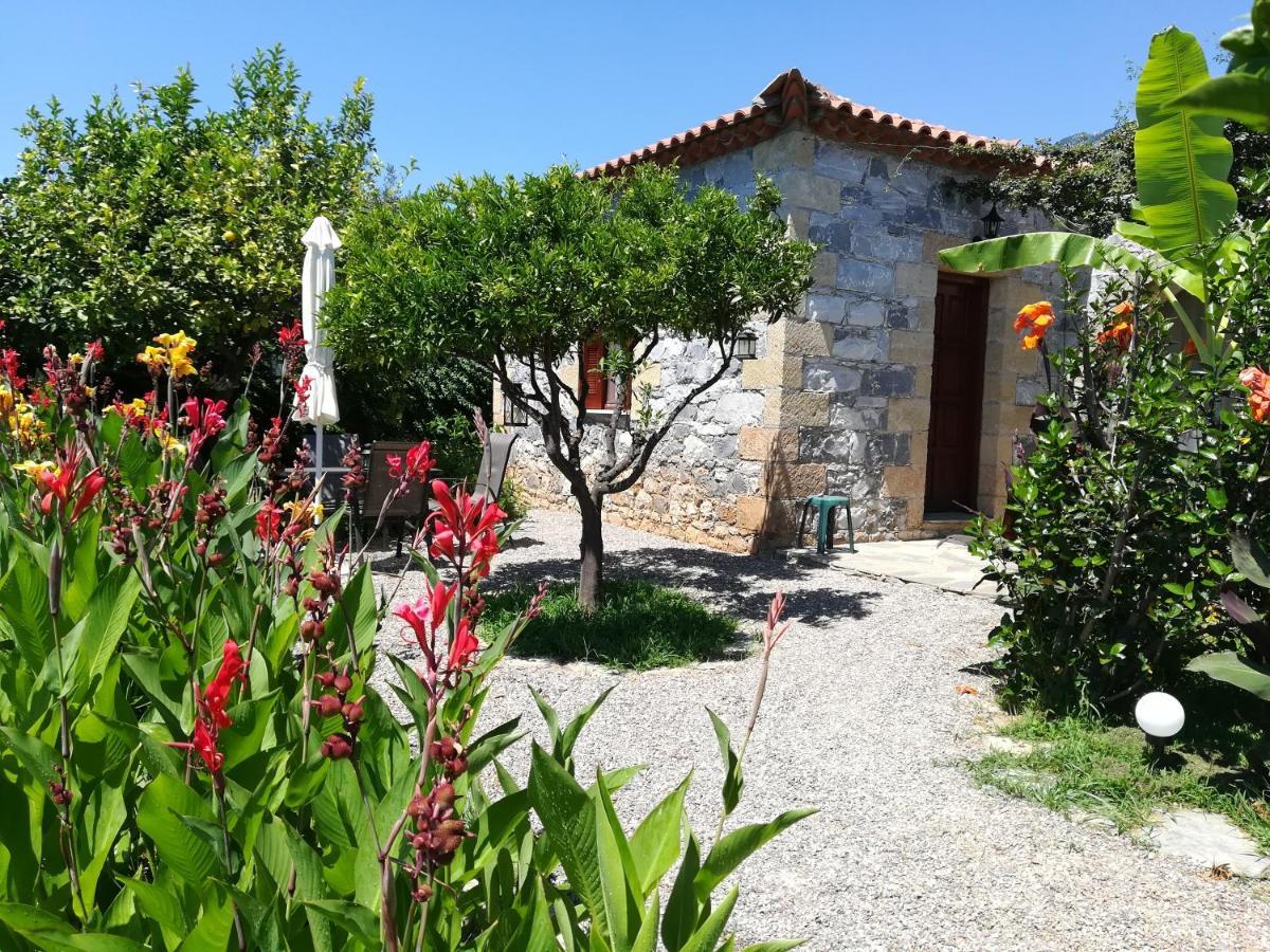 Stoupa's Paradise Extérieur photo